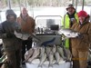 (04/12/2018) - Nice Striped Bass